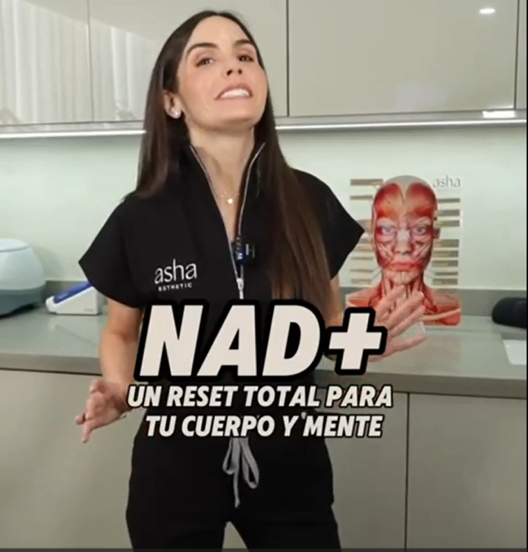 screenshot 2026 02 13 225525